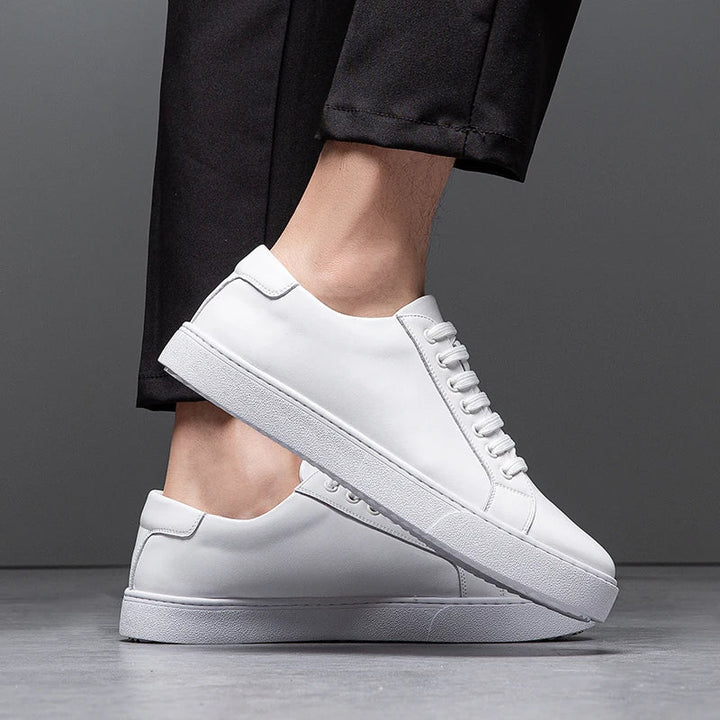 Isaac | Sneaker